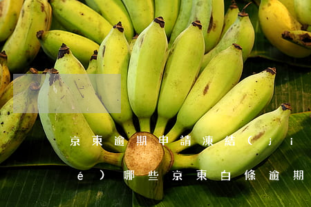 京東逾期申請凍結(jié)的凍結(jié)哪些(京東白條逾期被凍結(jié)了怎么解凍)