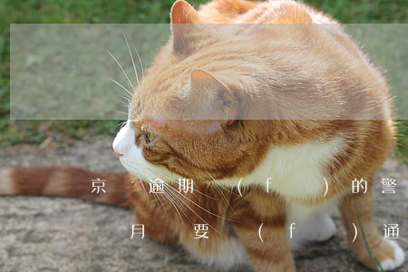 京東逾期發(fā)的警告信息(京東逾期一個月說要發(fā)通告函是真的嗎)