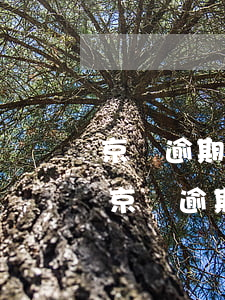 京東逾期發(fā)短信要上門(mén) 京東逾期發(fā)信息說(shuō)多次拒接電話(huà)要上門(mén)