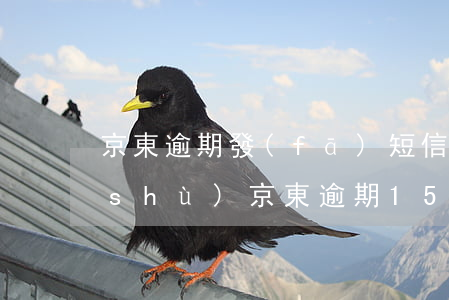 京東逾期發(fā)短信說已超警戒天數(shù) 京東逾期15天給我發(fā)短信下發(fā)相關(guān)函件