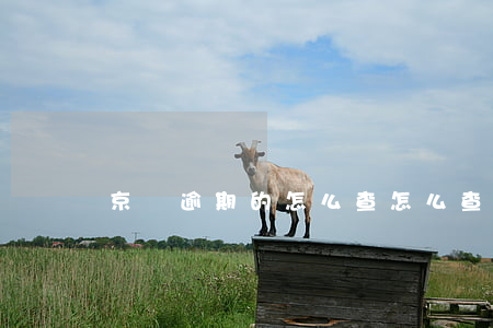 京東逾期的怎么查(怎么查詢京東白條逾期記錄)