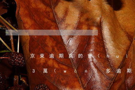 京東逾期真的會(huì)上訴嗎-欠京東3萬(wàn)多,逾期幾天就會(huì)被起訴嗎
