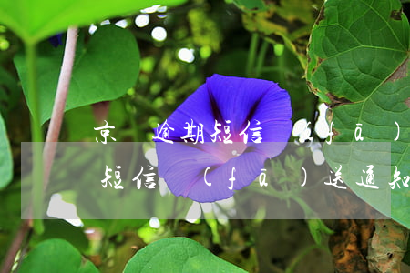 京東逾期短信發(fā)送通知函 京東逾期短信發(fā)送通知函
