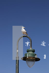 京東逾期經(jīng)歷 京東逾期經(jīng)歷
