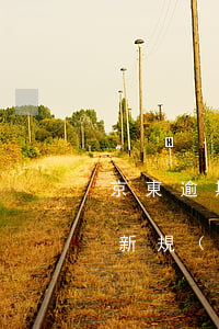 京東逾期能上征信嗎(京東逾期多久上征信 最新規(guī)則搶先看)