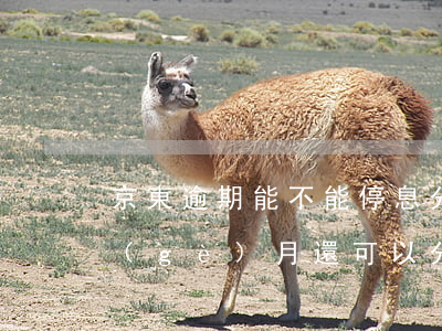 京東逾期能不能停息分期(京東金融逾期兩個(gè)月還可以分期付款嗎)