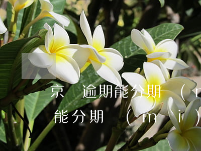 京東逾期能分期買(mǎi)房嗎(京東逾期能分期買(mǎi)房嗎)