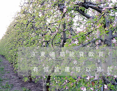 京東逾期能貸款買(mǎi)房嗎(京東金融有借款,還可以貸款買(mǎi)房子)