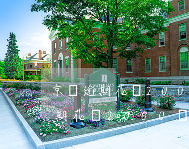 京東逾期花唄2000額度不可用-京東逾期花唄2000額度不可用怎么辦