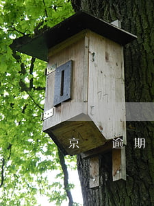 京東逾期處理本金