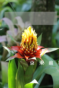 京東逾期被催款(拒絕京東催款電話后果)