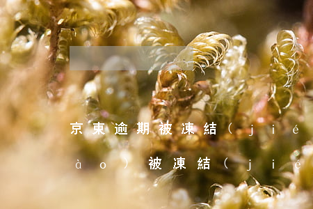 京東逾期被凍結(jié)了(京東賬號(hào)被凍結(jié)怎么回事)