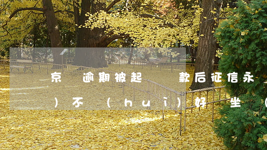 京東逾期被起訴還款后征信永遠(yuǎn)不會(huì)好嗎（坐監(jiān)了京東逾期會(huì)影響征信嗎）