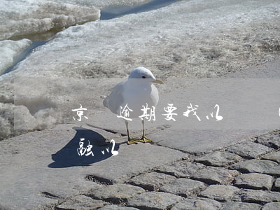 京東逾期要我以貸養(yǎng)貸(京東金融以貸還貸)