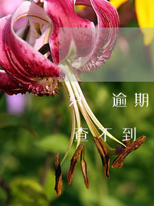 京東逾期記錄能查到嗎(京東的消息記錄怎么查不到)