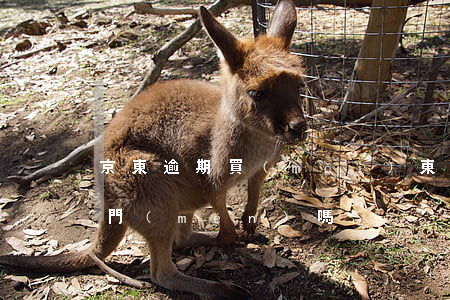 京東逾期買(mǎi)東西會(huì)上門(mén)嗎
