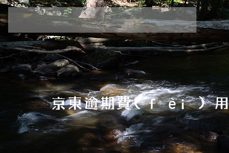 京東逾期費(fèi)用減免
