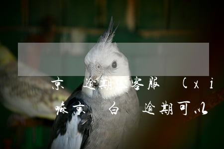 京東逾期跟客服協(xié)商可以免利息嘛(京東白條逾期可以協(xié)商不還利息嗎)