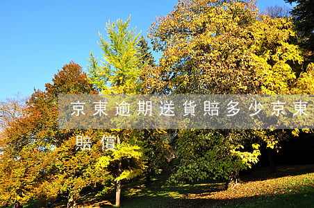 京東逾期送貨賠多少(京東物流送貨超時怎么賠償)
