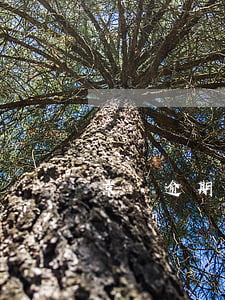 京東逾期通告-京東白條逾期后收到通告函