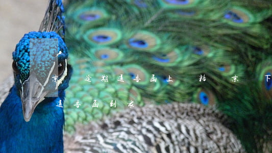 京東逾期通告函上門粘貼(京東下發(fā)通告函到家)