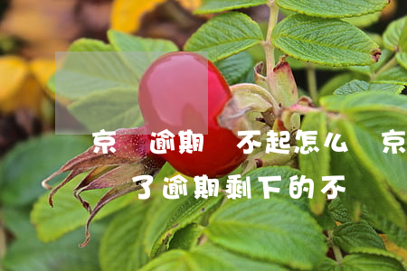京東逾期還不起怎么辦(京東逾期讓還全部,只還了逾期,剩下的不還會(huì)怎么樣)