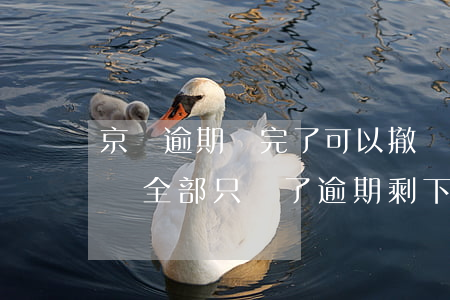 京東逾期還完了可以撤銷逾期嗎(京東逾期讓還全部,只還了逾期,剩下的不還會怎么樣)