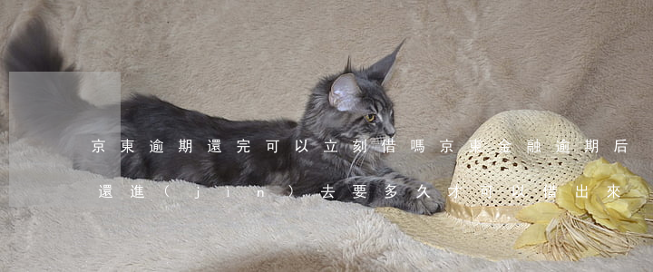 京東逾期還完可以立刻借嗎(京東金融逾期后還進(jìn)去要多久才可以借出來)