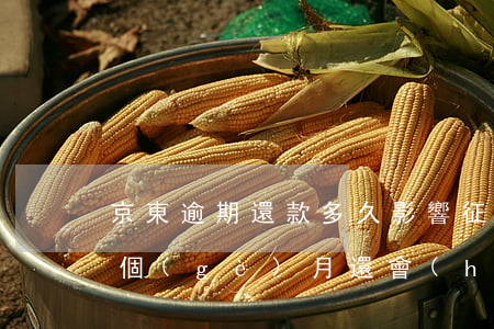 京東逾期還款多久影響征信(京東金融逾期一個(gè)月還會(huì)不會(huì)影響征信記錄)