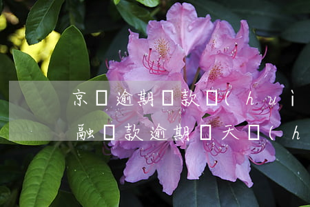 京東逾期還款會(huì)影響征信(京東金融還款逾期兩天會(huì)不會(huì)影響征信?)