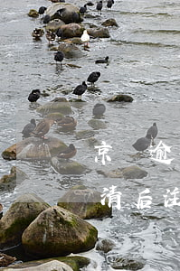 京東逾期還清注銷賬號(京東有逾期記錄,已還清后注銷重新注冊還有記錄嗎)