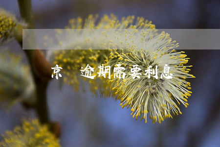 京東逾期需要利息嗎