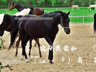 京東逾期需要和誰協(xié)商(京東可以協(xié)商還款嗎?)