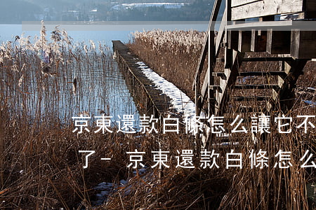 京東還款白條怎么讓它不來(lái)信息了-京東還款白條怎么讓它不來(lái)信息了呢