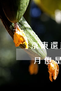 京東還款逾期三天了(京東逾期3個(gè)月,但是還未到全部還款期)