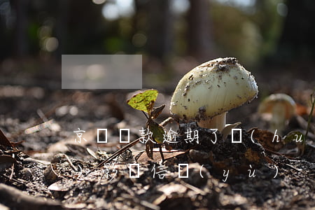 京東還款逾期了會(huì)不會(huì)影響信譽(yù)-京東還款逾期了會(huì)不會(huì)影響信譽(yù)等級(jí)