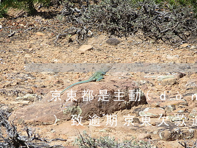 京東都是主動(dòng)還款導(dǎo)致逾期(京東欠款逾期要求全部還清可不可以先還逾期部分)
