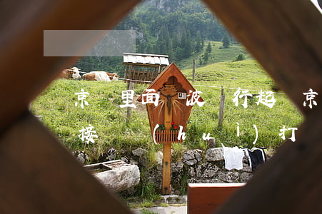 京東里面寧波銀行起訴(京東金融寧波銀行直接貸會(huì)打電話么)