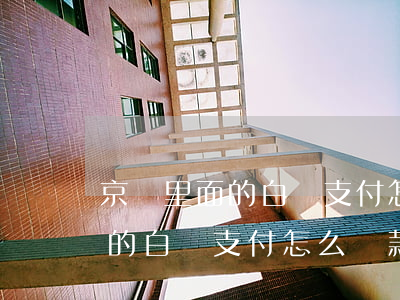 京東里面的白條支付怎么還款嗎-京東里面的白條支付怎么還款嗎安全嗎