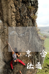 京東金卡有逾期(京東金卡為什么無(wú)法通過(guò))