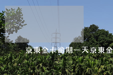 京東金卡逾期一天 京東金天逾期一天