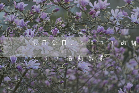京東金條10000逾期后果(京東金條10000逾期后果)