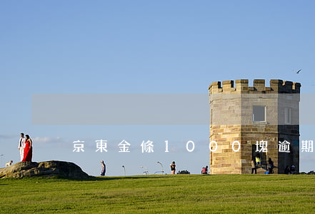京東金條1000塊逾期