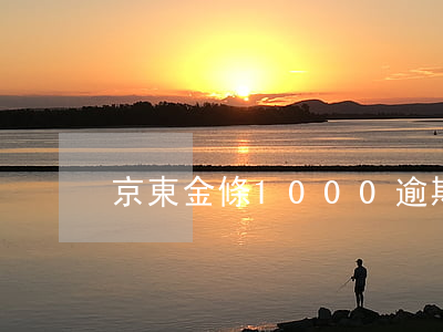 京東金條1000逾期15天