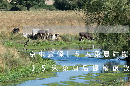 京東金條15天免息后提前還款-京東金條15天免息后提前還款可以嗎