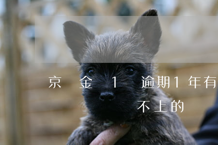 京東金條1萬逾期1年 有沒有京東金條逾期幾萬暫時還不上的