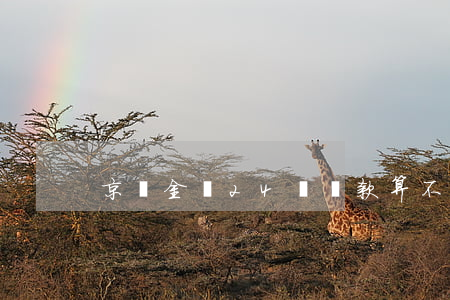 京東金條24點還款算不算逾期-