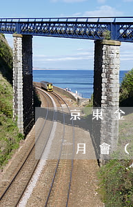 京東金條2萬(wàn)逾期一個(gè)月會(huì)上門嗎-京東金條2萬(wàn)逾期一個(gè)月會(huì)上門嗎是真的嗎