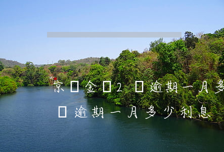 京東金條2萬逾期一月多少利息(京東金條2萬逾期一月多少利息)