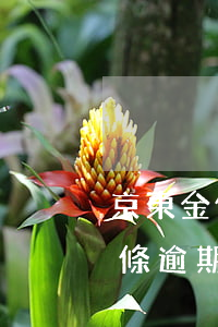京東金條3000元逾期270天-京東金條逾期300多元一個月會上門嗎